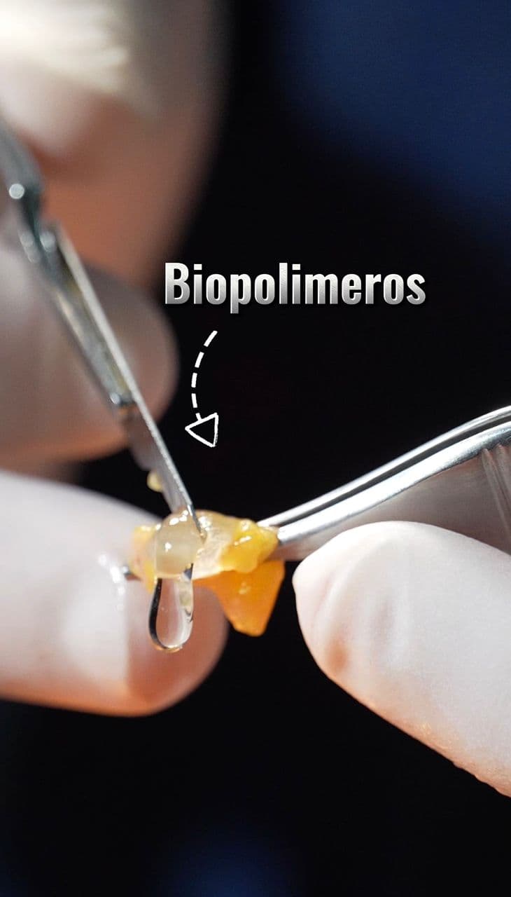 Retiro de Biopolímeros — imagen 2